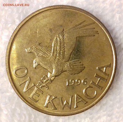 МАЛАВИ 1 квача 1996 Рыбный орёл до 17 фев. 22-00 мск - МАЛАВИ 1 квача 1996 20170117_161932-1