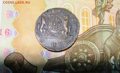 Сибирки на оценку. - IMG_0890.JPG
