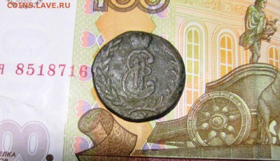 Сибирки на оценку. - IMG_0892.JPG