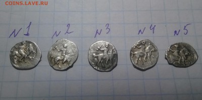 5 чешуек на определение - 20170214_083957-1