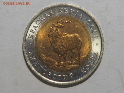Красная книга 1991 Винторогий козел с 200 до 16.02.17 в22.00 - P2147042_thumb