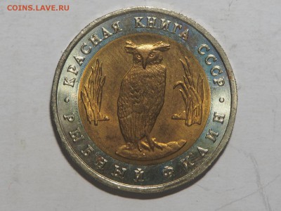 Красная книга 1991 Рыбный филин с 200 до 16.02.17 в 22.00 - P2147052_thumb