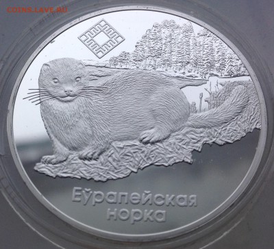 Норка 20 рублей 2006 Беларусь до 17.2.17 в 22.00 - IMG_7913.JPG