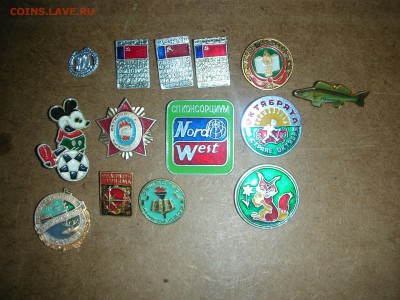 много значков - DSCN0383.JPG