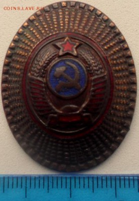 Кокарда на оценку - SAM_5992.JPG