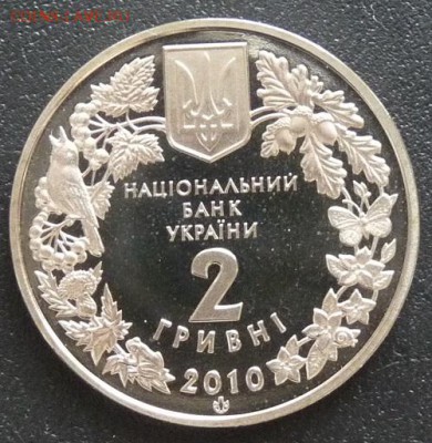 Украина, 2 гр. 2010, ковыль, до 22.00 20.02. - P1160820.JPG