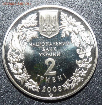 Украина, 2 гр. 2008, Гриф, до 22.00 20.02. - P1160848.JPG