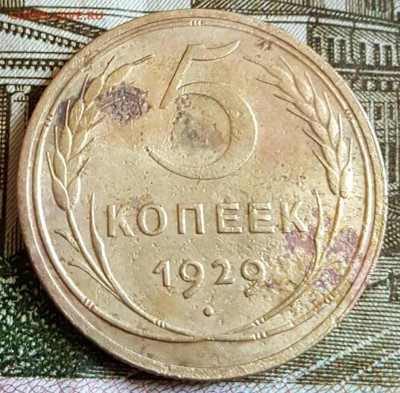 5 копеек 1929. До 18.02.2017 в 22.00 - 20170214_164811
