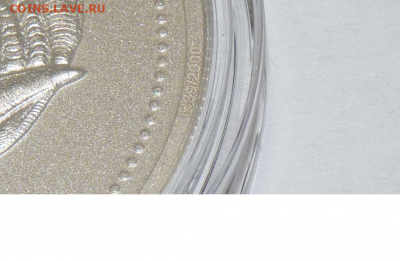 Лунар ЧЕРЕП (Год козы), до 17.02.2017 г. в 22:00 МСК - фрагмент