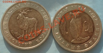 Красная Книга 1991(2шт-комплект) до 1.02.11 (21-00) - Красная книга 1991 ав.JPG