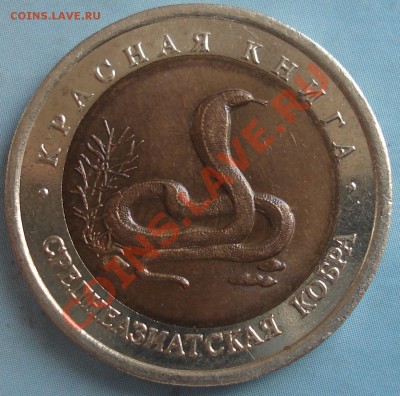 10 руб 1992 Среднеазиатская кобра до 1.02.11(21-00) - 10 руб 1992 кобра ав.JPG