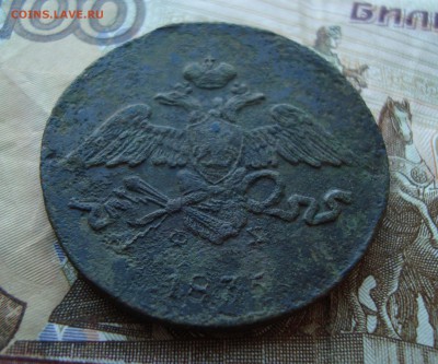 5 копеек 1835 ЕМ-ФХ до 20.02 - DSC06701.JPG
