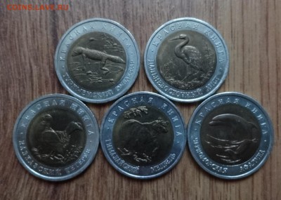 Россия 1993 Красная книга комплект 5 монет до 18.02.17 22-00 - DSC02786.JPG