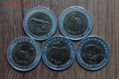 Россия 1993 Красная книга комплект 5 монет до 18.02.17 22-00 - DSC02785.JPG
