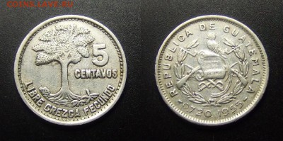 МОНЕТЫ МИРА 01-17 - Гватемала – 5 сентаво (1955) «Дерево» (Ag) (XF) №1