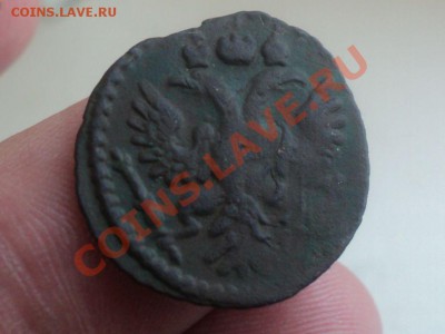 Полушка 1734 .Перечекан.Короткий аук.до 29.1.11  22.00МСК - DSC02733.JPG