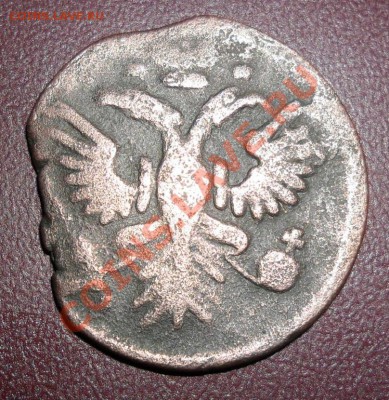 денга 1735 г Гурт гладкий или шнур? - SAM_0955.JPG