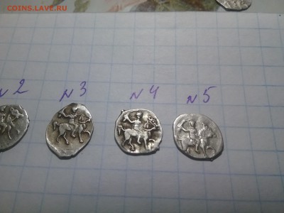 5 чешуек на определение - 20170214_090144
