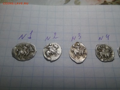 5 чешуек на определение - 20170214_090123