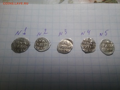 5 чешуек на определение - 20170214_090036