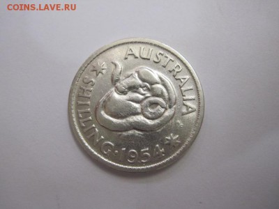 1 шиллинг Австралия 1954  до 19.02.17 - IMG_8028.JPG