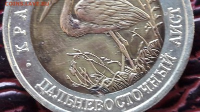 Красная книга. Аист. 93 год. До окончания 23.02. - IMG_20170217_102551_2