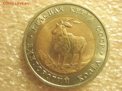 Красная книга 1991 Филин и Козёл. до 19.02.2017 в 22:10 мск. - DSC07125.JPG