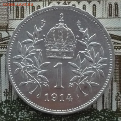 1 крона  1914 год. Император Франц Иосиф I.19.02.22:10 - P1600686.JPG