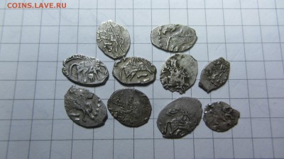 Петр Алексеевич 10 чешуек - IMG_0571.JPG