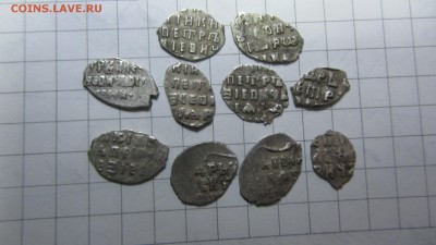 Петр Алексеевич 10 чешуек - IMG_0572.JPG