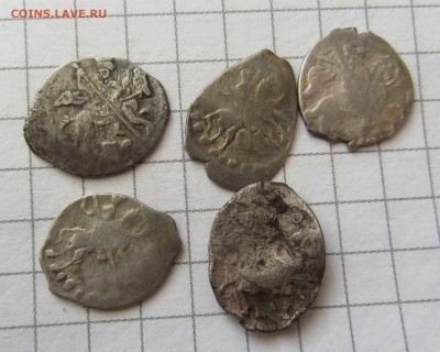 5 чешуек - IMG_0399.JPG