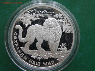 3 рубля 2011 Переднеазиатский леопард - P2120024.JPG