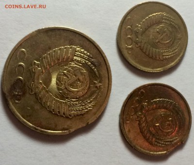 Брачек или нет ? - IMG_8062.JPG