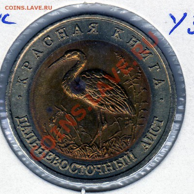 Кр.книга 50 руб.1993 Дальневосточный аист до 31.01.11 22.00 - img807