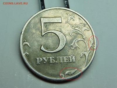 Вопросы по разновидностям от medrin - DSCN3959.JPG