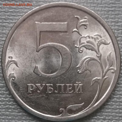 Определение разновидностей от Корс. - 5.23 Вр.JPG