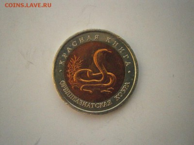 КК 10руб Среднеазиатская Кобра 1992г до22.00мск 24.02.17фото - P2200025.JPG