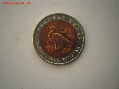 КК 10руб Краснозобая Казарка  1992г до22.00мск 24.02.17 - P2200023.JPG