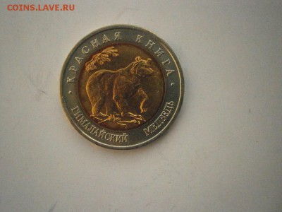 КК 50руб Гималайский Медведь 1993г до22.00мск 24.02.17 фото - P2200019.JPG