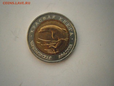 КК 50руб Черноморская Афалина 1993г до22.00мск 24.02.17фото - P2200017.JPG