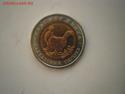 КК 50руб Кавказский Тетерев  1993г до22.00мск 24.02.17 - P2200015.JPG
