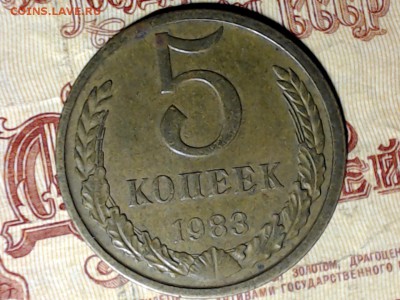 5 коп. 1983 с меньшим аверсом до 27 февраля 21:00 - САМАРА 2017-02-21_05-39-42