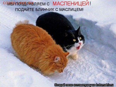 С Масленицей! - 1116677