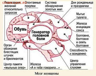 юмор - podborks