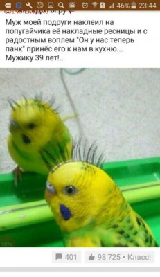юмор - podborооkh
