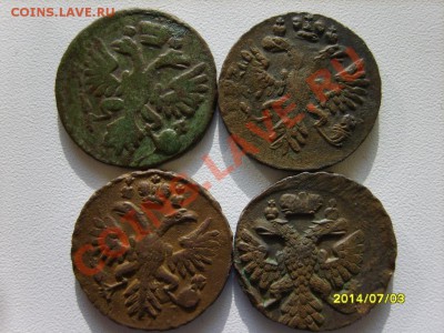 Деньга 1731(3шт.),35(2шт.),39(2шт. разные),41,50,51 г. - S8303001.JPG