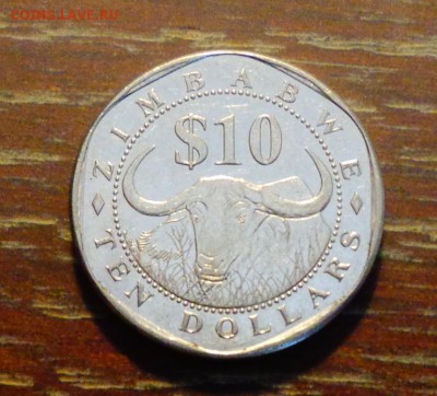 ЗИМБАБВЕ - БУФФАЛО до 28.02, 22.00 - Зимбабве бычок_1