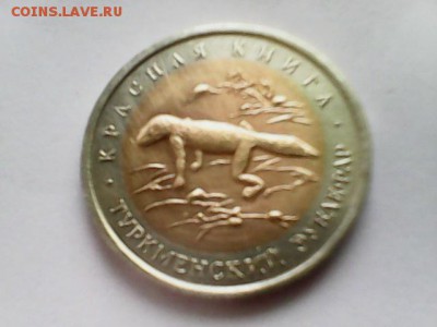 50 рублей 1993 Туркменский зублефар - Зублефар -  2