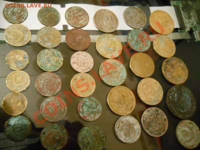 На опыты 33 шт. до 61 советы, старт 1 р. 30.01.2011,20-00Мск - DSCN1357.JPG
