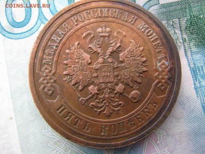 5 копеек1911 спб - IMG_6022